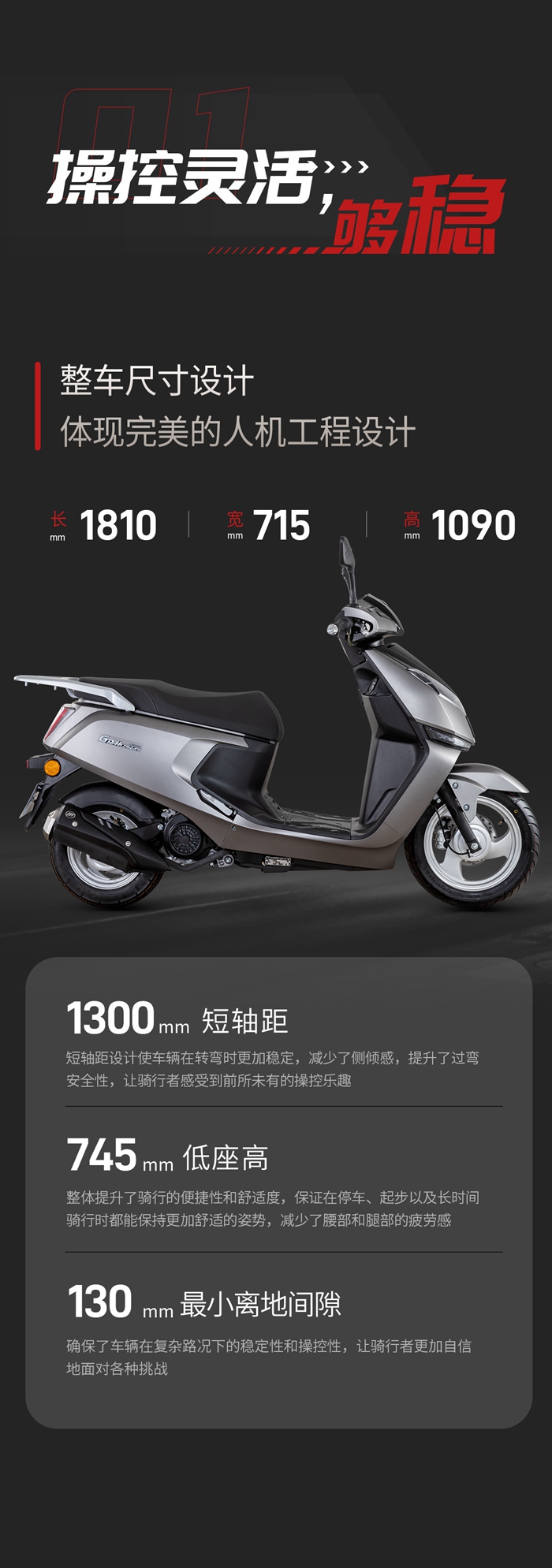 灰狗详情_02.jpg
