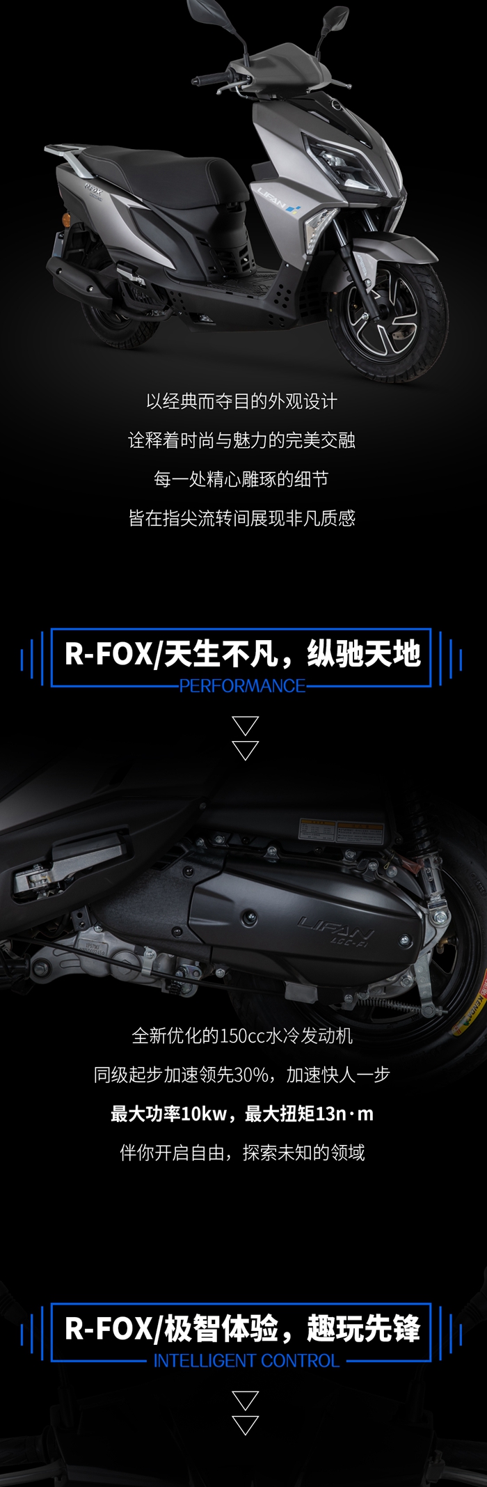 R-FOX_02.jpg