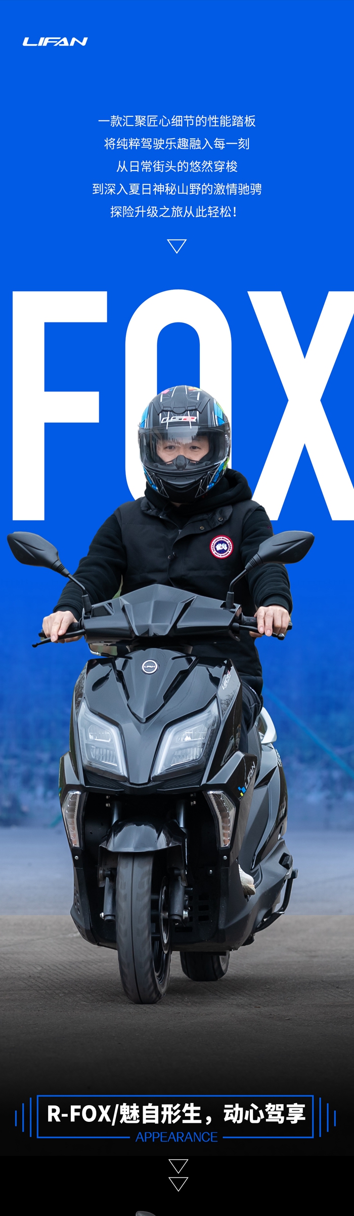 R-FOX_01.jpg