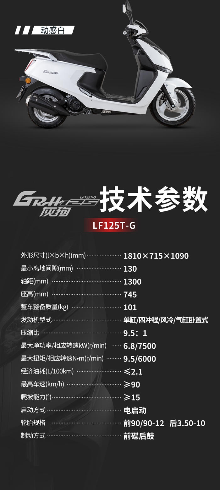灰狗详情_07.jpg
