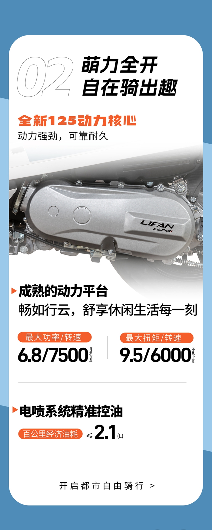 布偶猫_03.jpg